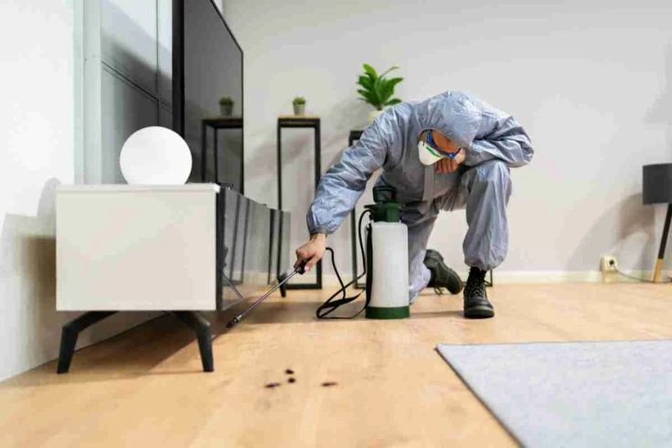 termite treatment