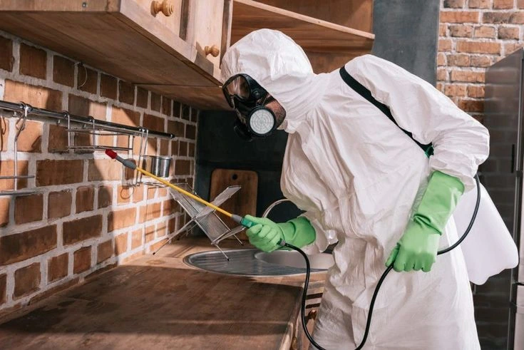 termite treatment