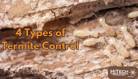 Types-of-Termite-Treatments